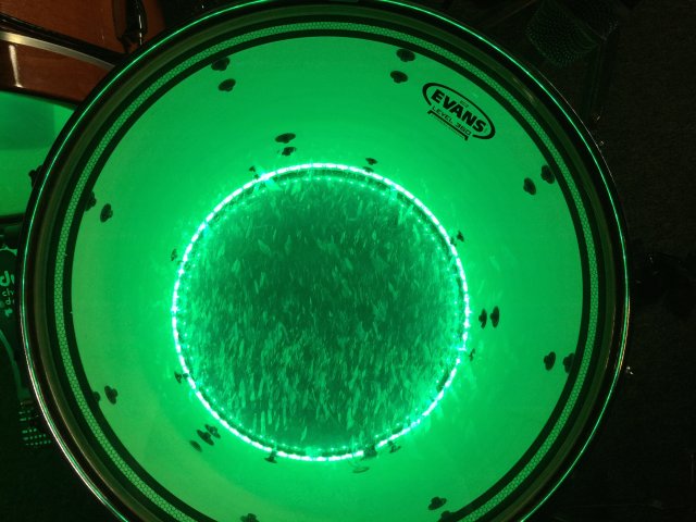 RadioTramps - Lazy Chameleon - Powell
